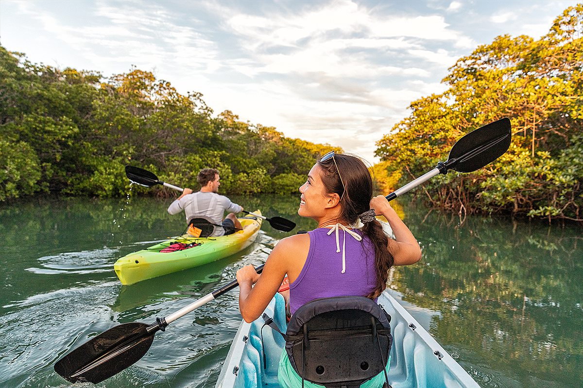 Kayaking through mangroves on an adventure trip